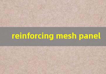  reinforcing mesh panel 
